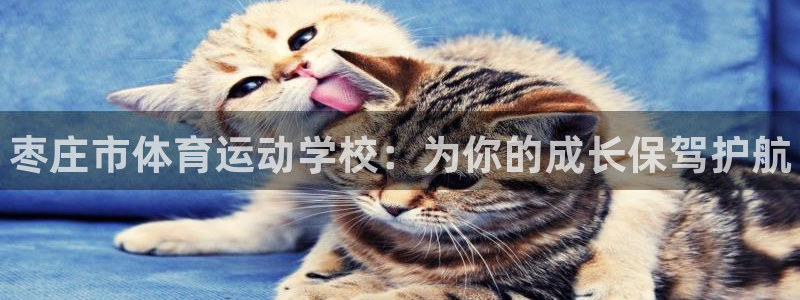 千亿国际官网下载招商电话地址：枣庄市体育运动学校：为