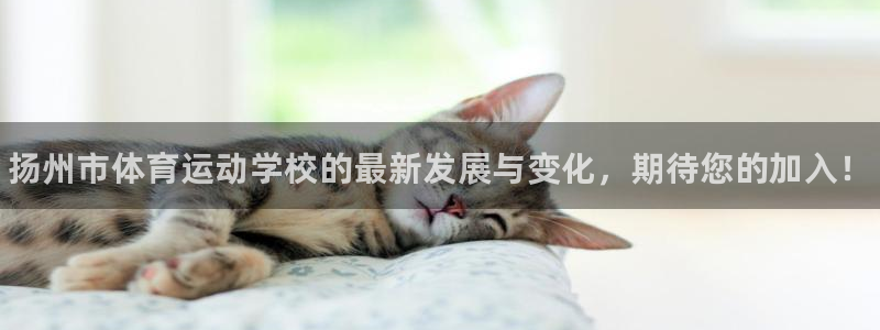 千亿国际官网下载平台注册流程图：扬州市体育运动学校的