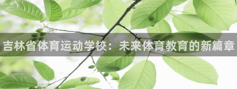 千亿国际官方正版app神州：吉林省体育运动学校：未来