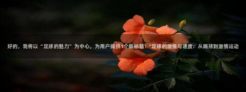 千亿国际官网下载联系电话：好的，我将以“足球的魅力”