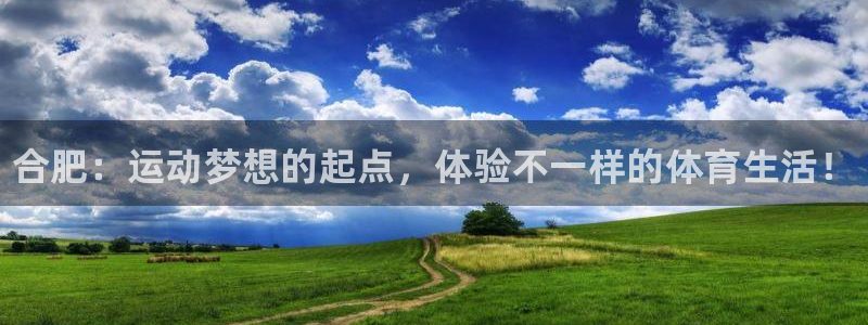 千亿国际官方正版app集团E.ON：合肥：运动梦想的