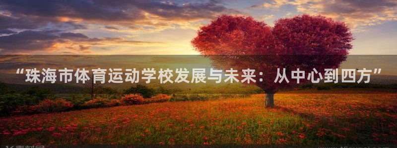 千亿国际官方正版app官网：“珠海市体育运动学校发展