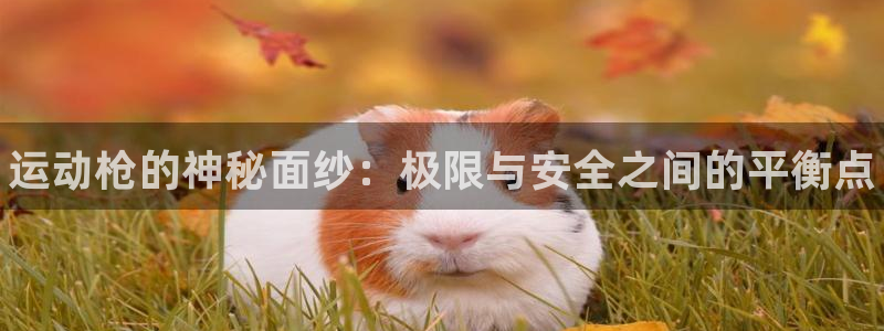 千亿国际官方正版app娱乐首页网站大全：运动枪的神秘