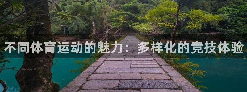 千亿国际官方正版app集团E.ON：不同体育运动的魅