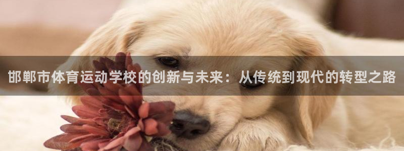 千亿国际官网下载招商电话是多少号码：邯郸市体育运动学