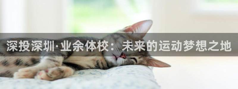 千亿国际官方正版app娱乐首页网站大全：深投深圳·业