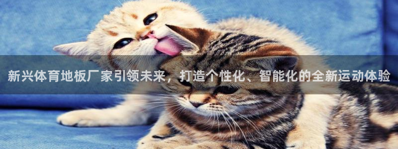 千亿国际官方集团官网