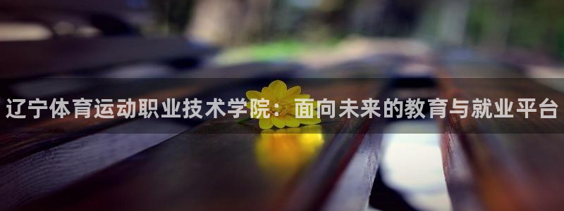 千亿国际官网下载平台假的吗是真的吗：辽宁体育运动职业技术学院