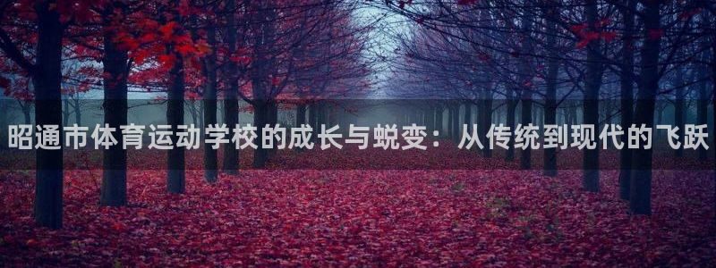 千亿国际官网下载招商电话号码是多少啊：昭通市体育运动学校的成