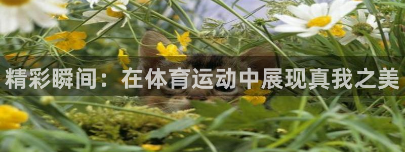 千亿国际官网下载平台注册要钱吗是真的吗：精彩瞬间：在体育运动