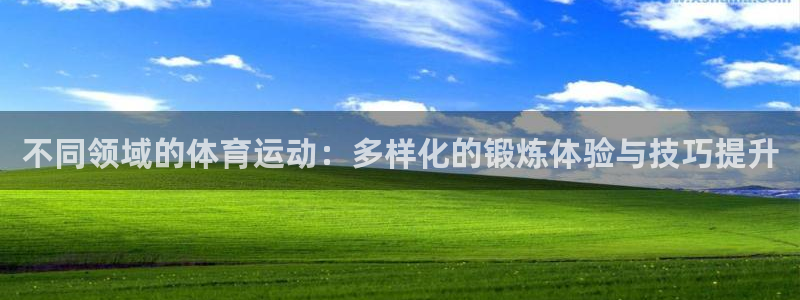 千亿国际官方集团官网：不同领域的体育运动：多样化的锻炼体验与
