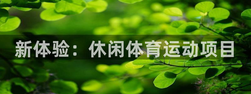 千亿国际官方正版app集团简介：新体验：休闲体育运动项目