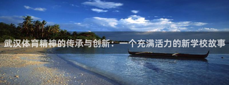 千亿国际官方正版app开户：武汉体育精神的传承与创新：一个充