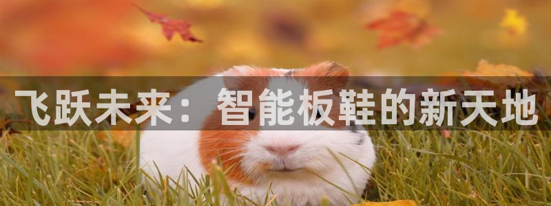 千亿国际官方正版app集团