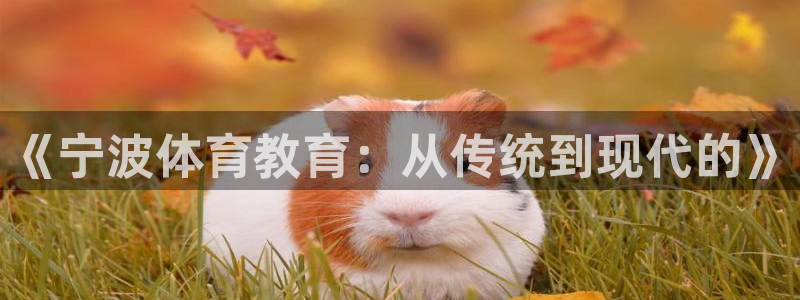 千亿国际官方正版app官方：《宁波体育教育：从传统到现代的》
